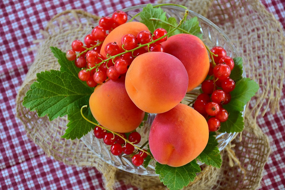 fruitschaal-abrikoos-aalbes