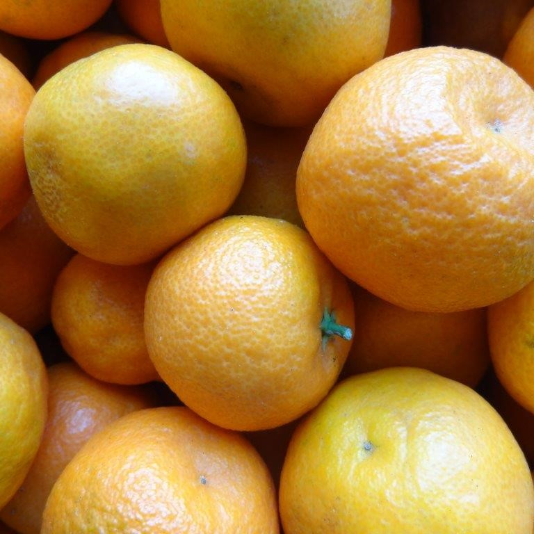 Clementines Kievitamines