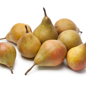 Stoofpeer, Gieser Wildeman