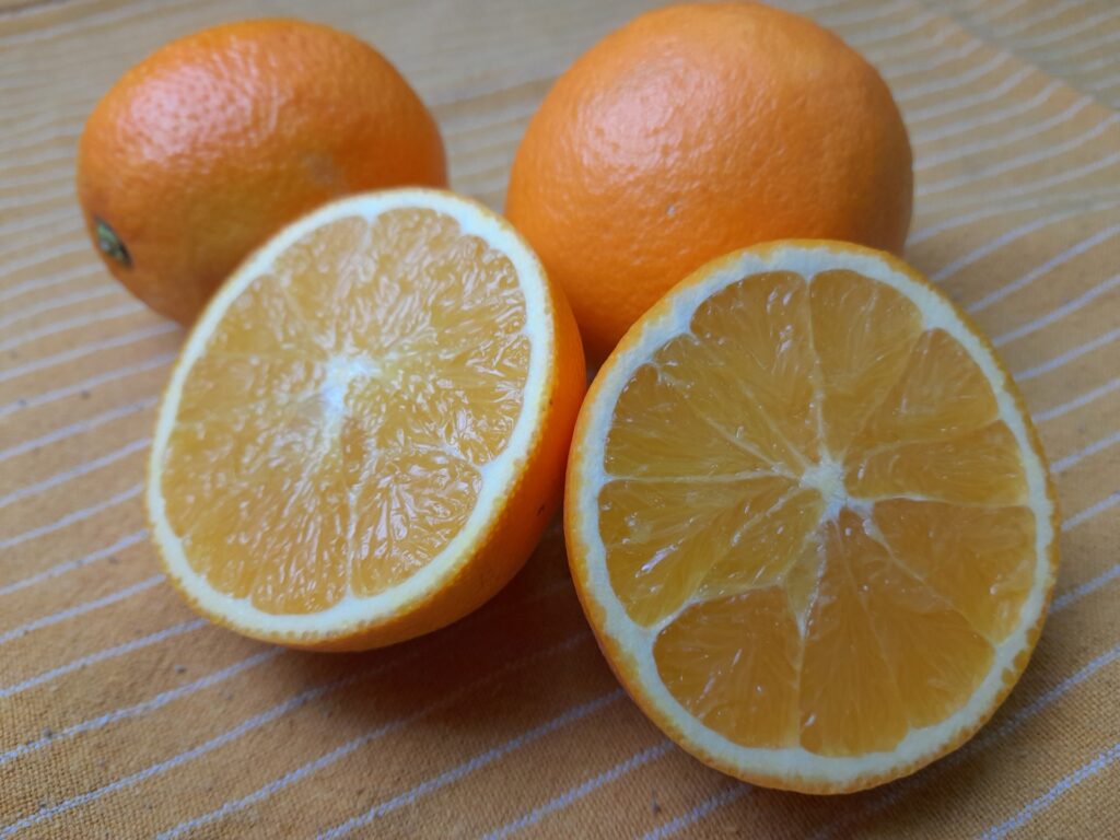 4923 sinaasappels