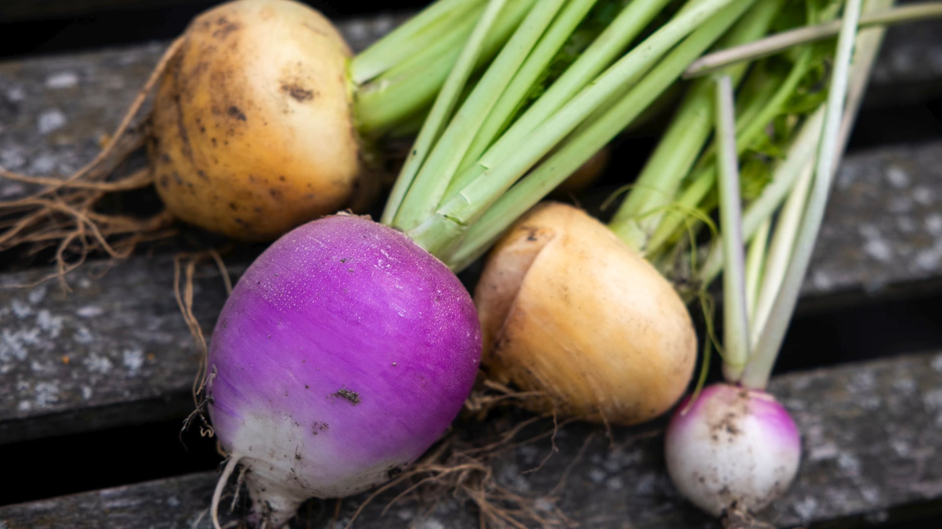 Meiraap Kievitamines