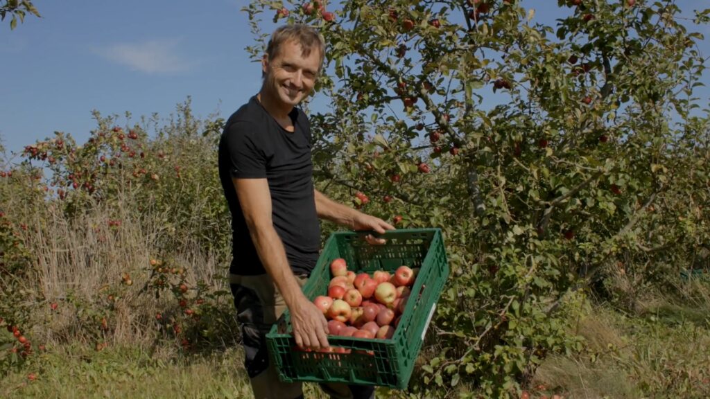 appels uit onze boom