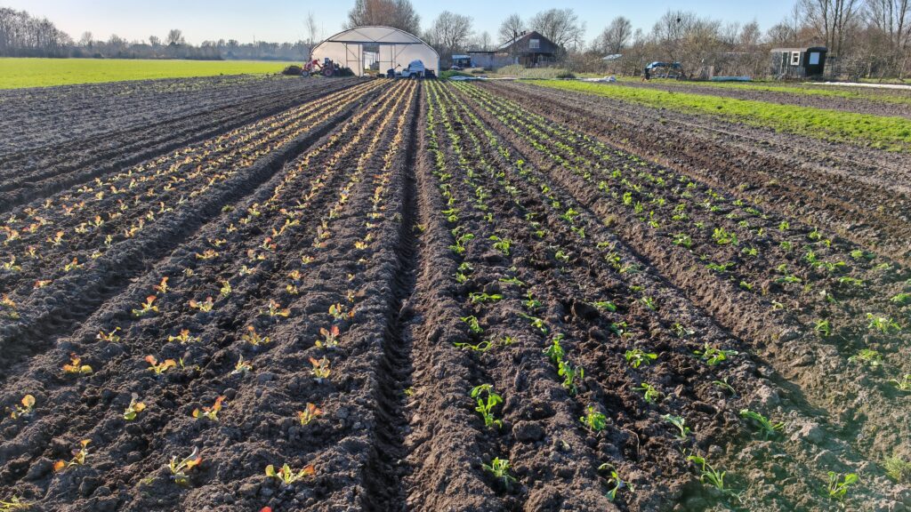 land maart week 12 blog