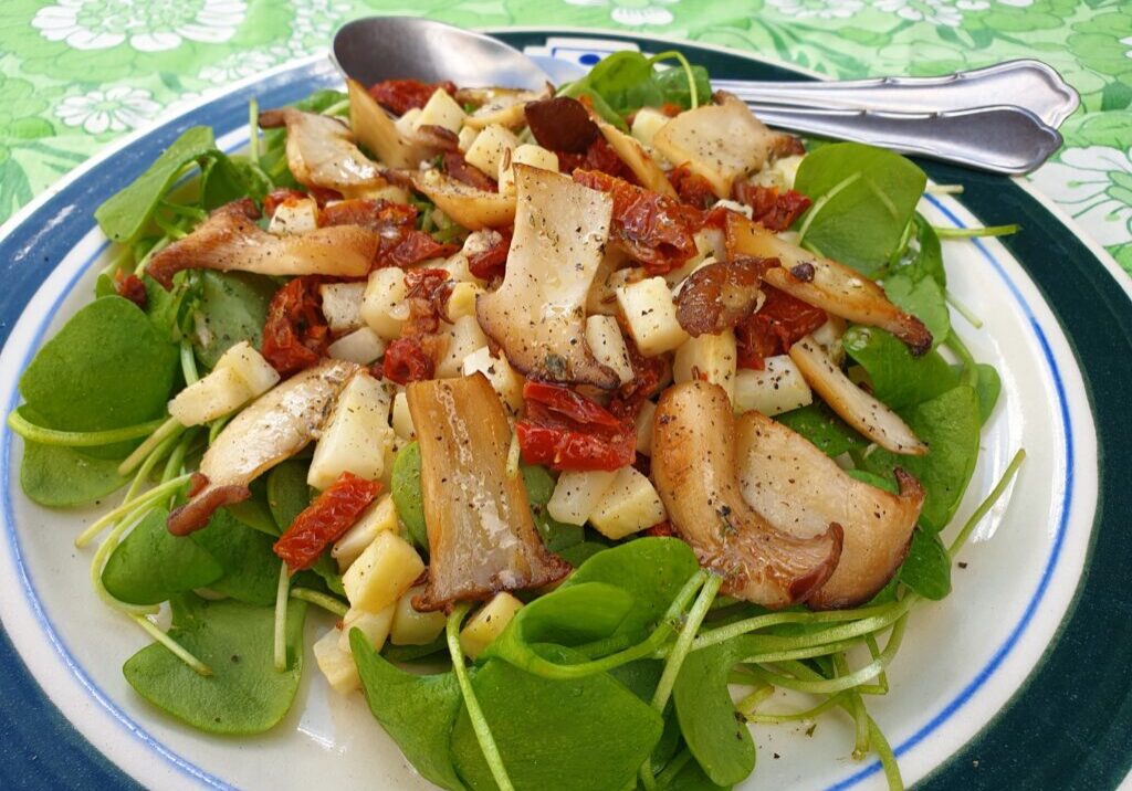 Posteleinsalade met knolselderij en eryngii