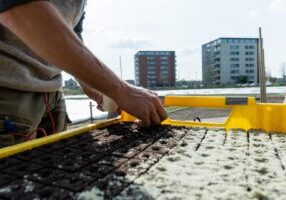 zelf voorzaaien en dan de kas in