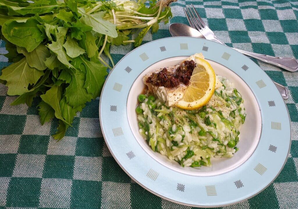 Raapstelenrisotto met gebakken vis