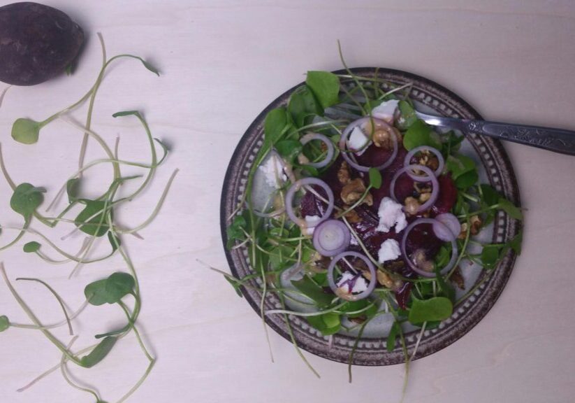 winterpostelein-bietjes-gerecht