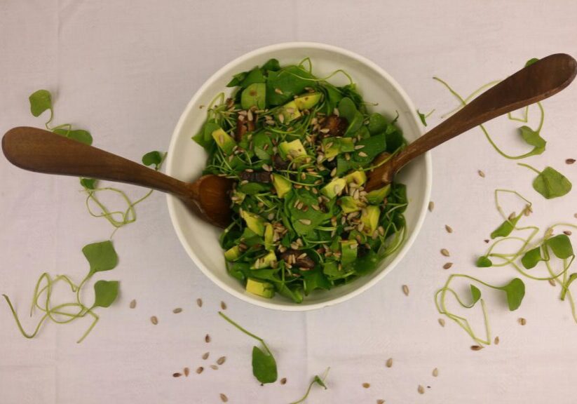 winterposteleinsalade met dadels en avocado