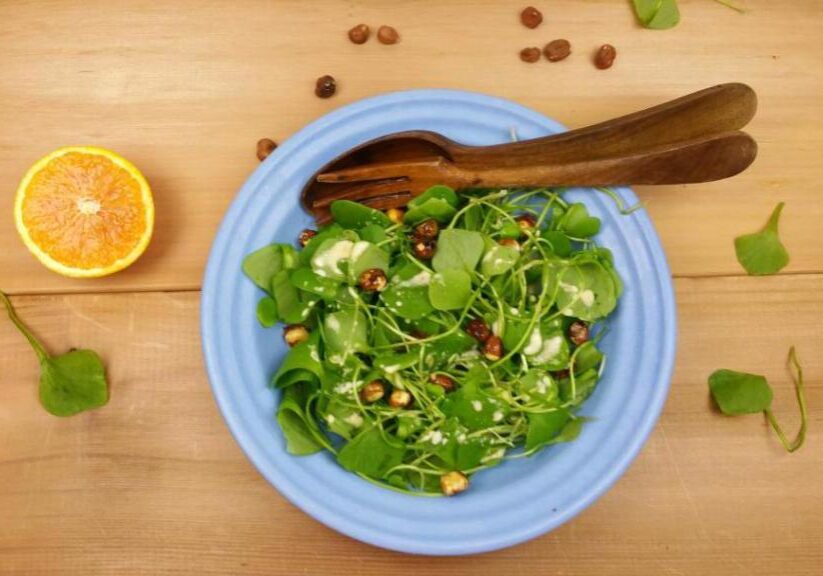 Winterposteleinsalade met hazelnoten