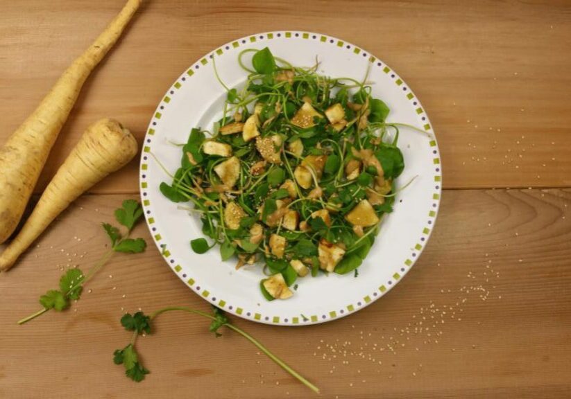 winterposteleinsalade