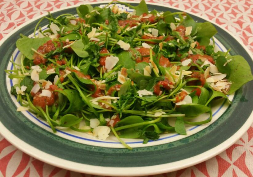 Winterpostelein salade met paprika dressing