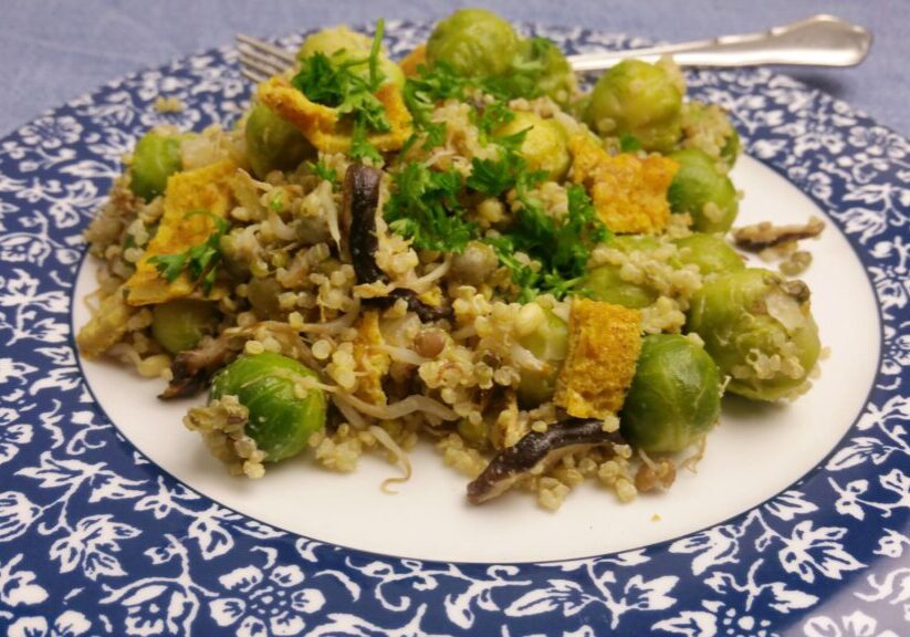 gemengde schotel met spruiten, sprouty en quinoa