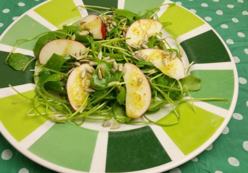 Winterposteleinsalade met appel en zonnebloempitjes