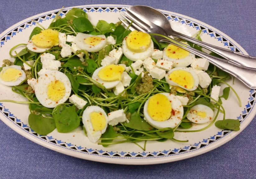 Winterposteleinsalade met zonnebloempittensaus, ei en feta