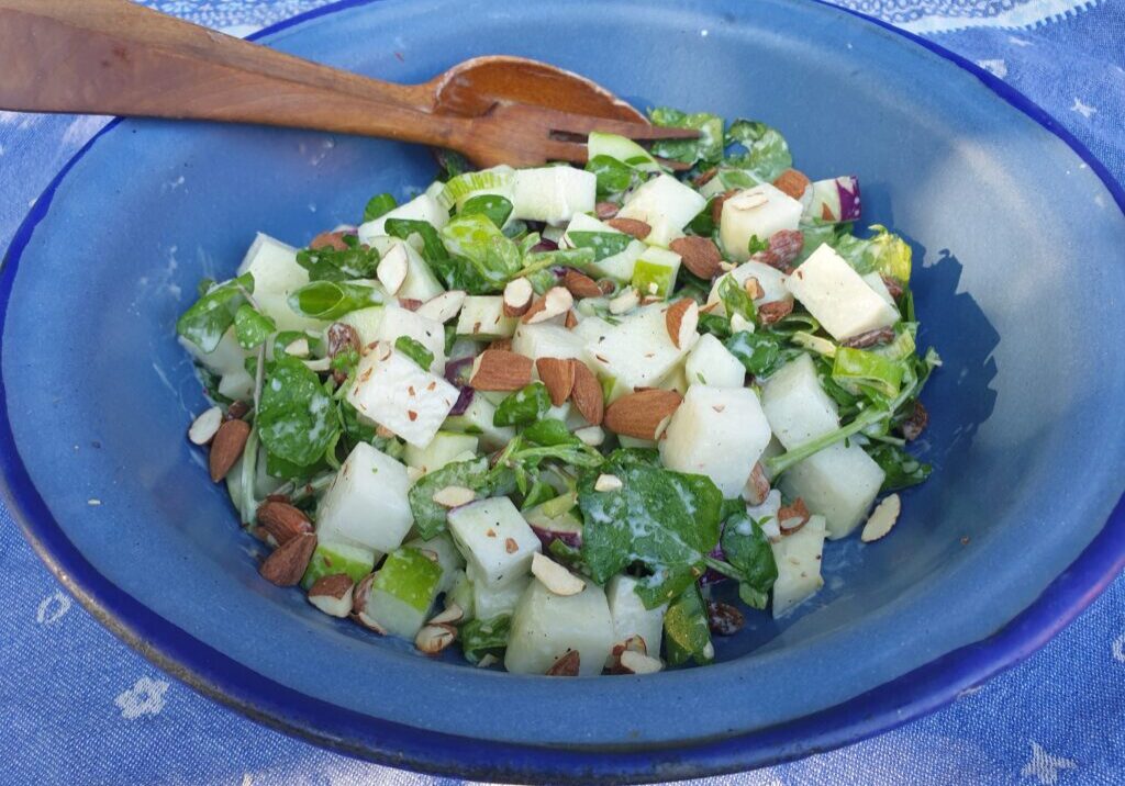 salade met koolrabi, waterkers, rozijnen, bosui en amandelen
