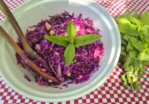 Rode kool salade met appel en munt