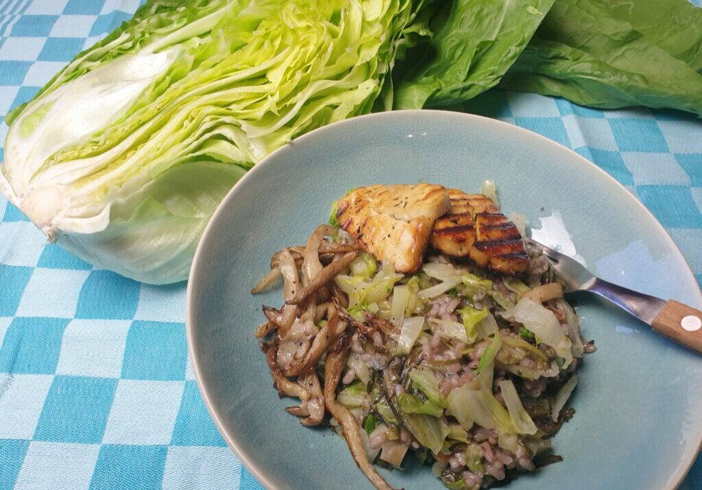 Risotto met groenlof  en gebakken oesterzwammen en haloumi