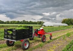 de e-donk, onze elektrische hulp, met aanhangwagen