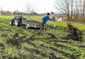 Kievit_Compost_MR_006