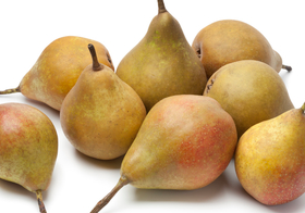 Stoofpeer, Gieser Wildeman