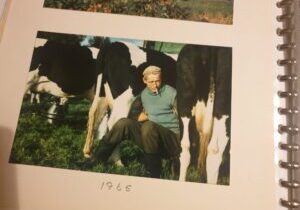 Vader Geke - foto met koeien