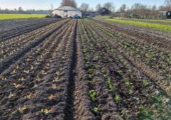 land maart week 12 blog