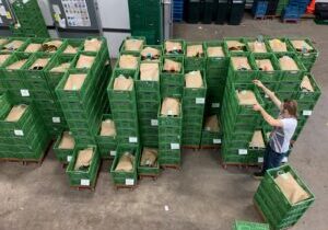 pakkettenberg -porro