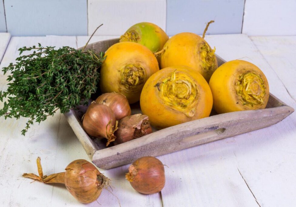 Sfeer foto van herfstraapjes met sjalot en tijm