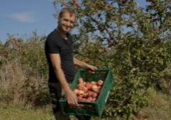 appels uit onze boom