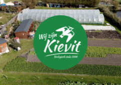 Wij zijn kievit_video_tumb